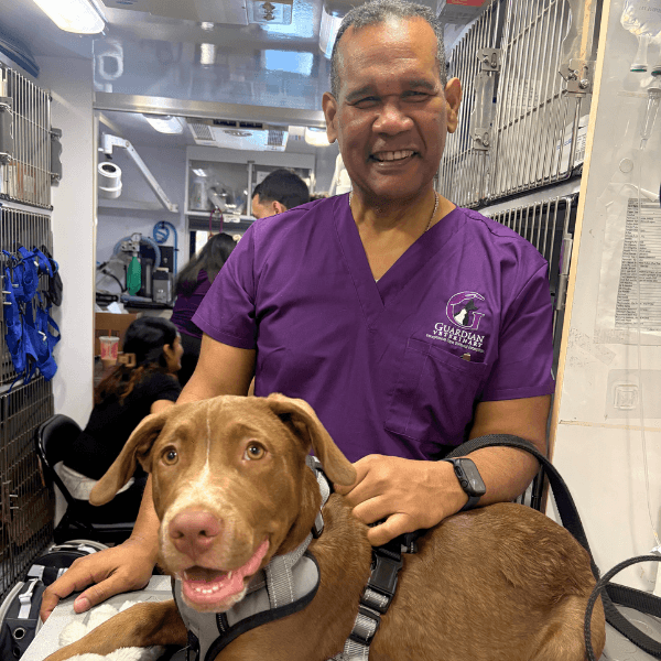 Vet tech with dog